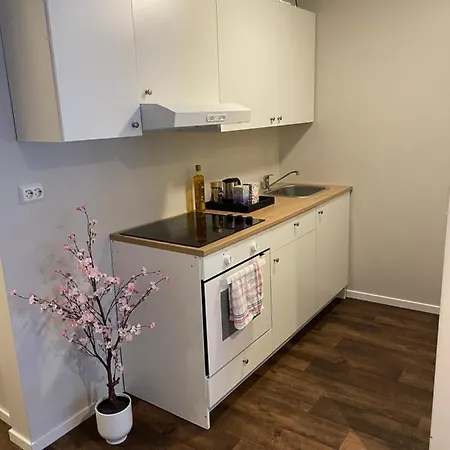 Apartment Central Studio Apartment *