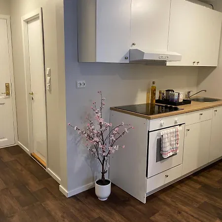 Central Studio Apartment Lejlighed