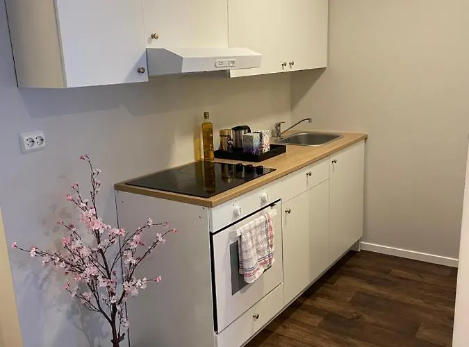 Appartement Central Studio Apartment *