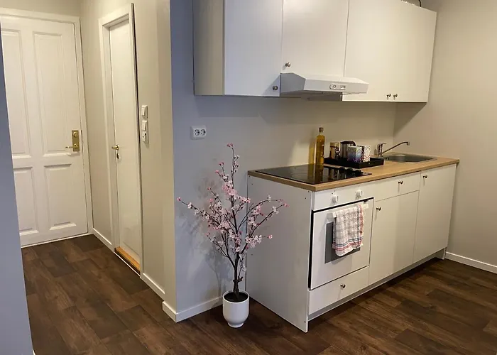 Central Studio Apartment Appartement